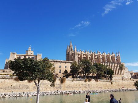 20180217_110953.jpg