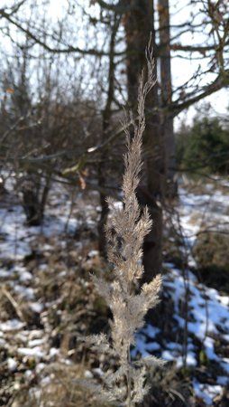 IMG_20180304_141819_706.jpg