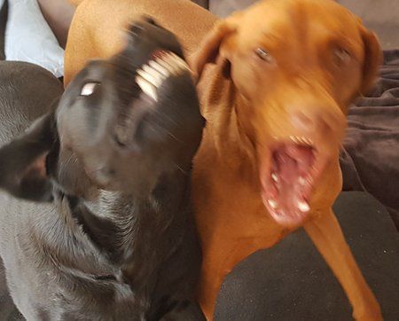20180306_132234.jpg