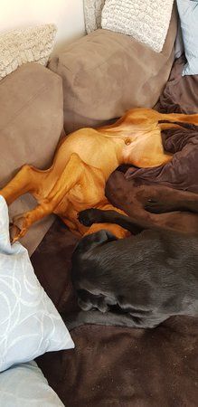 20180306_132506.jpg