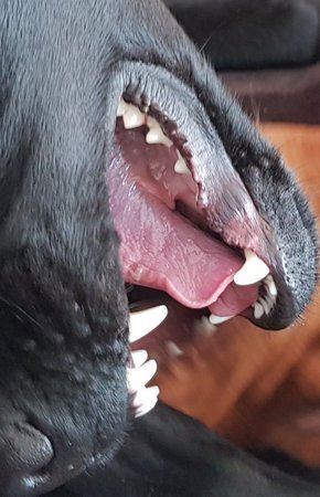 20180306_133735.jpg