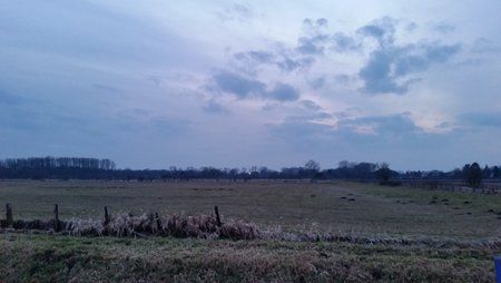 IMG_20180309_182411.jpg