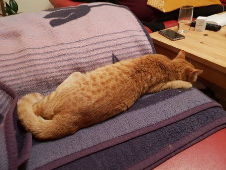 20180310_211726.jpg