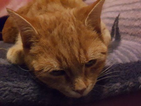 20180310_211753.jpg