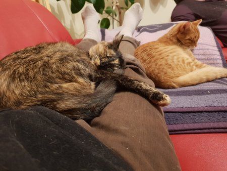 JPEG_20180310_225728_3903931660910372518.jpg