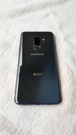 IMAG0650.jpg