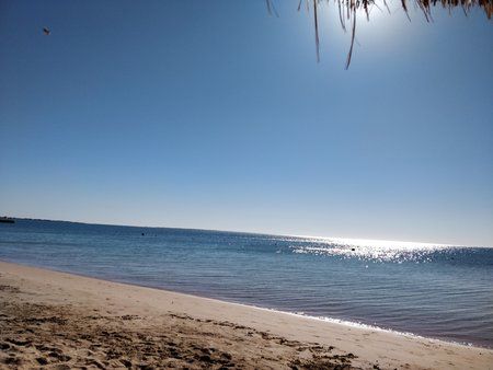IMG_20180314_082759.jpg
