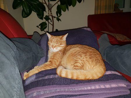 20180316_214239.jpg