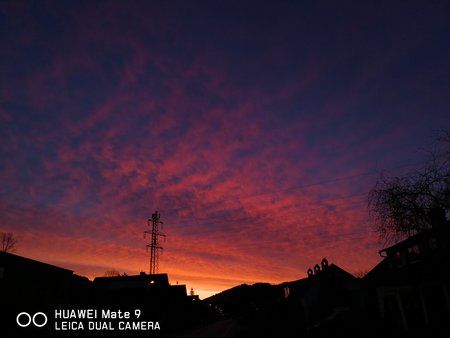 IMG_20180315_062250.jpg