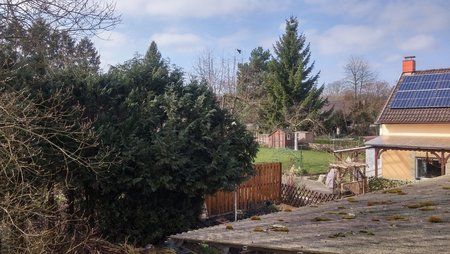 20180319_111239_HDR.jpg