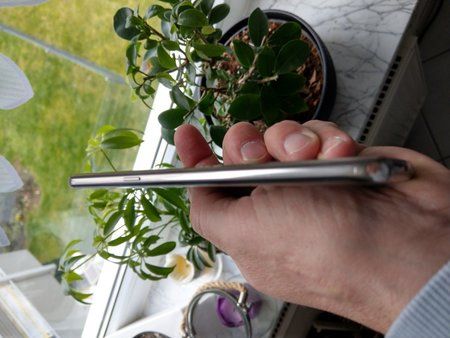 IMAG0016.jpg