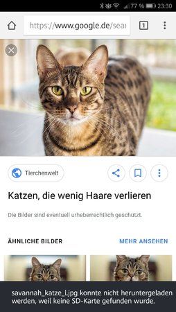 Screenshot_20180329-233031.jpg