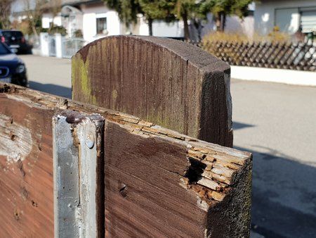 20180402_120839.jpg