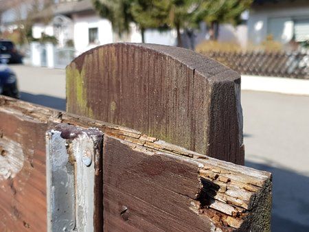 20180402_120910.jpg