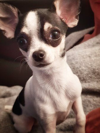 20180402_211649-01.jpeg