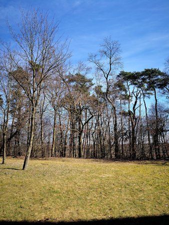 IMG_20180404_130149.jpg
