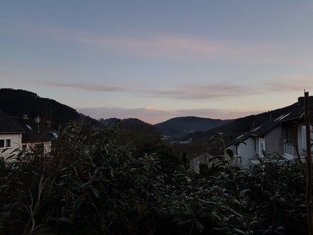 20180404_070112.jpg