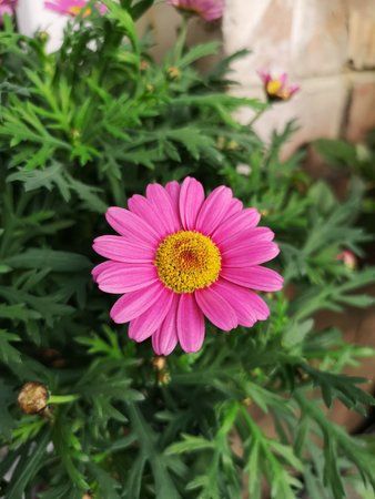 IMG_20180406_155134.jpg
