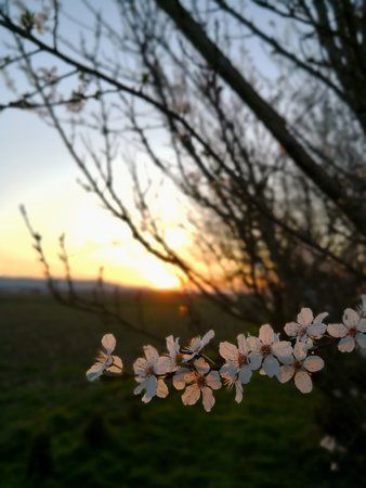 IMG_20180406_195112-01.jpeg