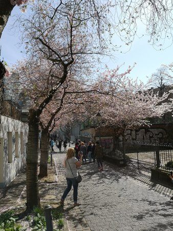 IMG_20180407_134223.jpg