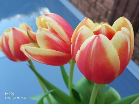 IMG_20180408_173119.jpg