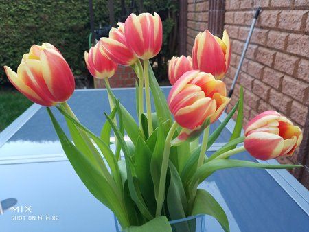 IMG_20180408_173220.jpg