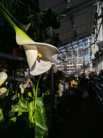 IMG_20180407_180507.jpg