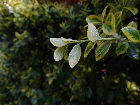 DSC_0022.JPG