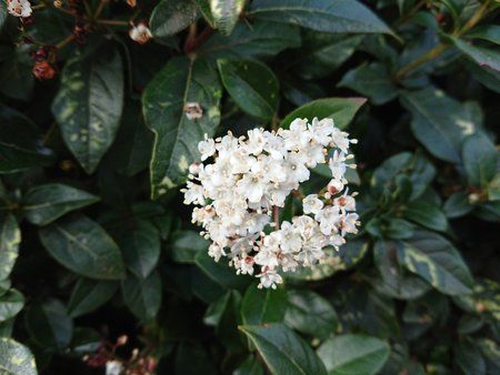DSC_0024.JPG