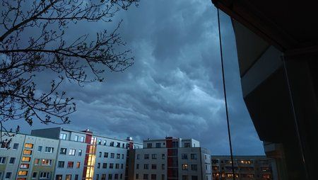DSC_1279.JPG