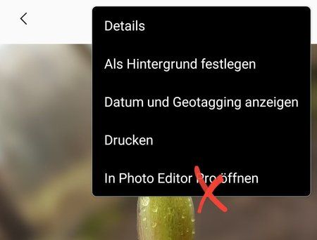 Screenshot_20180416-200421_Gallery.jpg