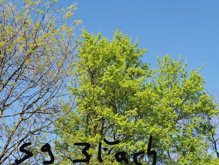20180419_133748.jpg