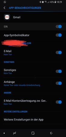 Screenshot_20180419-183030_Settings.jpg