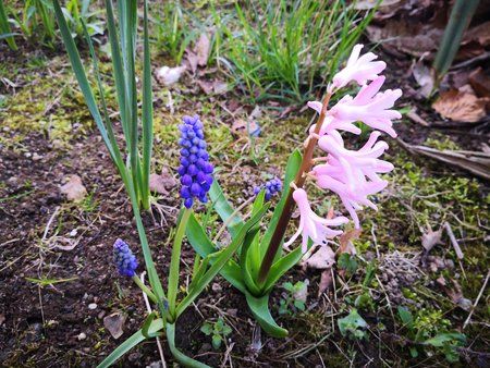 IMG_20180417_093414.jpg