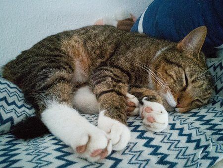 LRM_EXPORT_20180418_105314.jpg