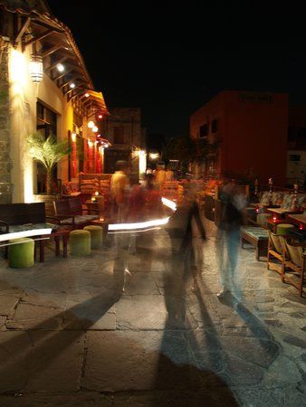 OL040104.JPG