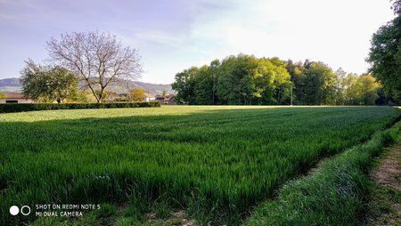 IMG_20180427_180203.jpg