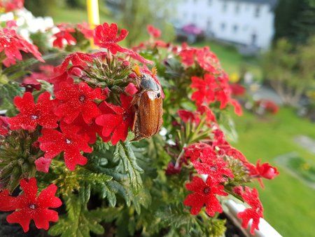 20180428_071441.jpg