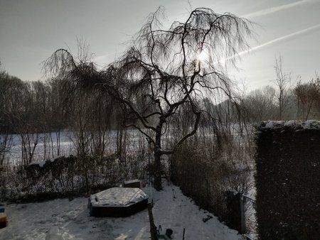IMG_20180303_083031.jpg