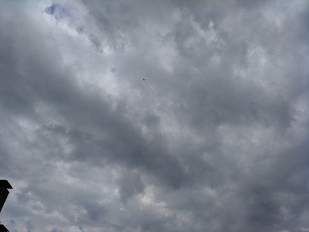 IMG_20180428_135914.jpg