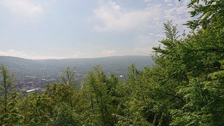 DSC_0023.JPG