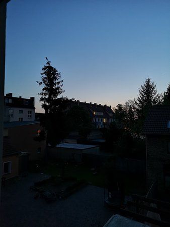 IMG_20180429_211106.jpg