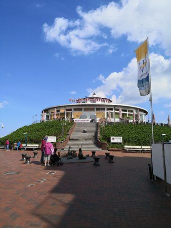 IMG_20180502_113045.jpg