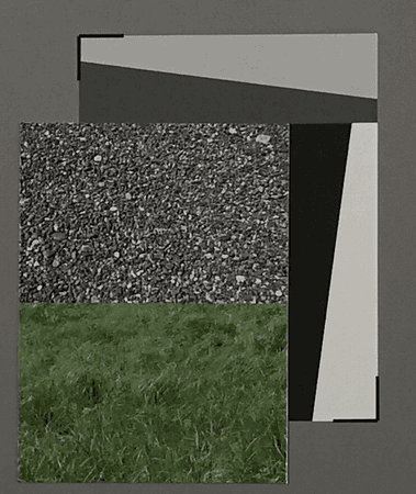 20MP-Standard.png