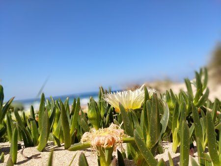 IMG_20180503_112830.jpg