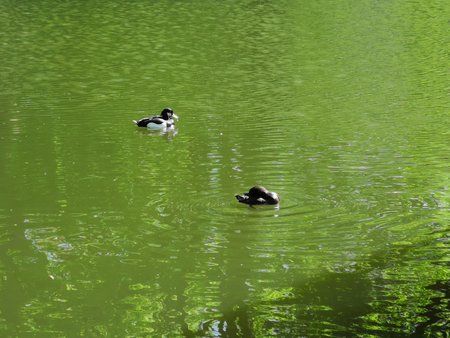 IMG_20180505_154051.jpg