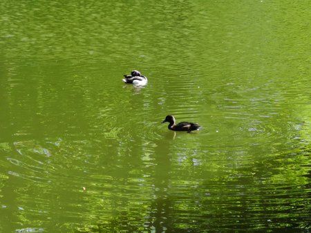 IMG_20180505_154058.jpg