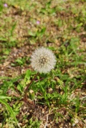 IMG_20180505_190331.jpg