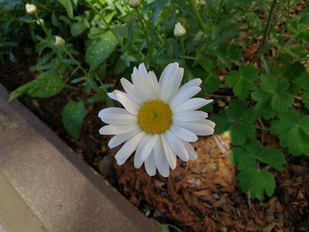 IMG_20180505_105407.jpg