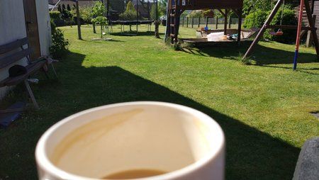 IMG_20180506_104423.jpg